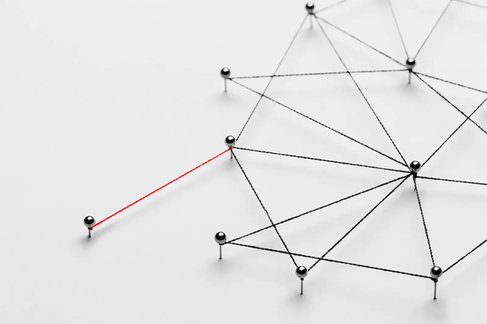 marketplace czy sklep internetowy